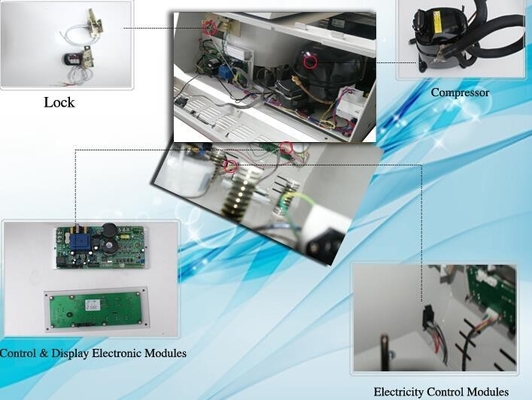 Centrífuga refrigerada con pantalla LCD con motor inversor