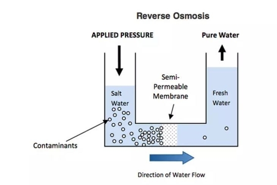 Sistema de agua RO de ósmosis inversa de sal disolvente 500L/h - 2000L/h