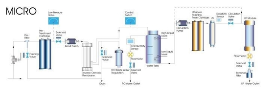 Máquina de sistema de agua ultrapurificada 10L/H 20L/H 40L/H 60L/H